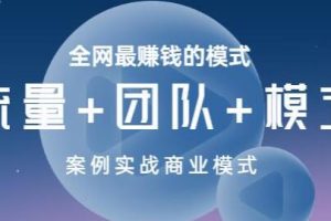 王冲《流量+团队+模式》商业模式实战课，赚钱十倍速